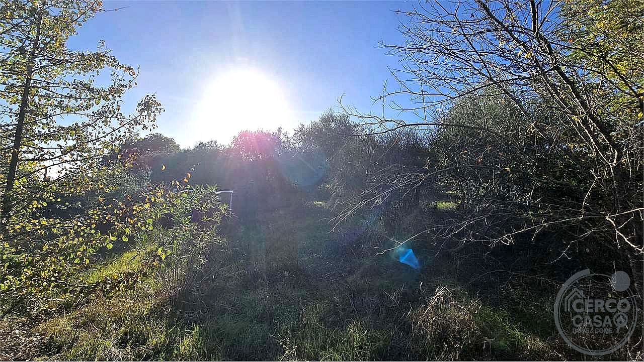 TERRENO AGRICOLO VENDITA PERUGIA · foto 15