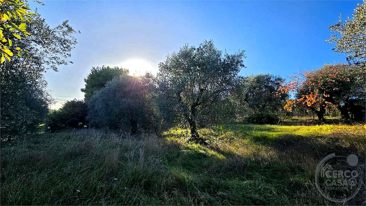 TERRENO AGRICOLO VENDITA PERUGIA · foto 16