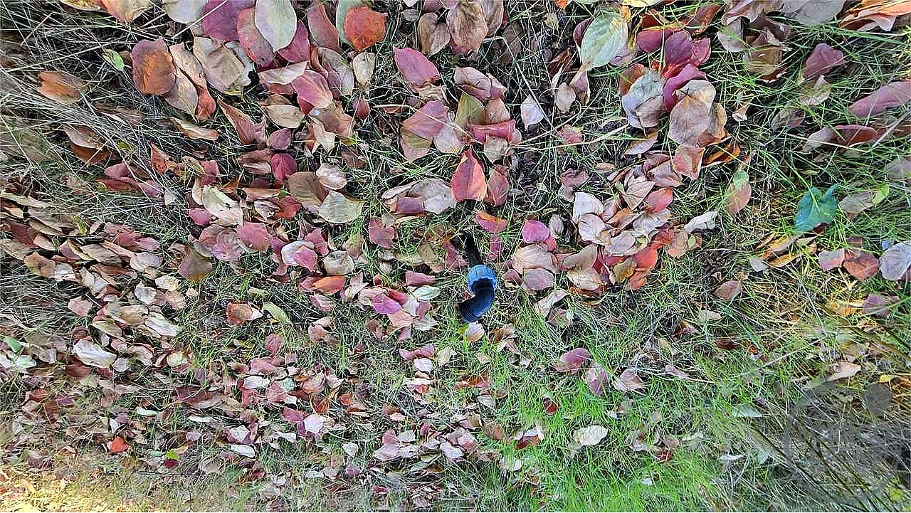 TERRENO AGRICOLO VENDITA PERUGIA · foto 21