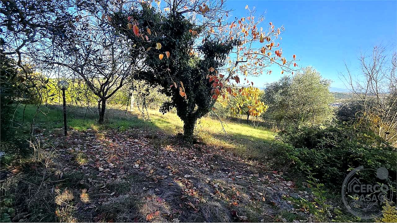 TERRENO AGRICOLO VENDITA PERUGIA · foto 25