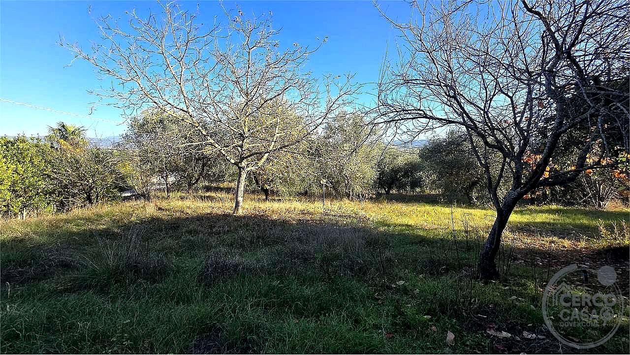 TERRENO AGRICOLO VENDITA PERUGIA · foto 36