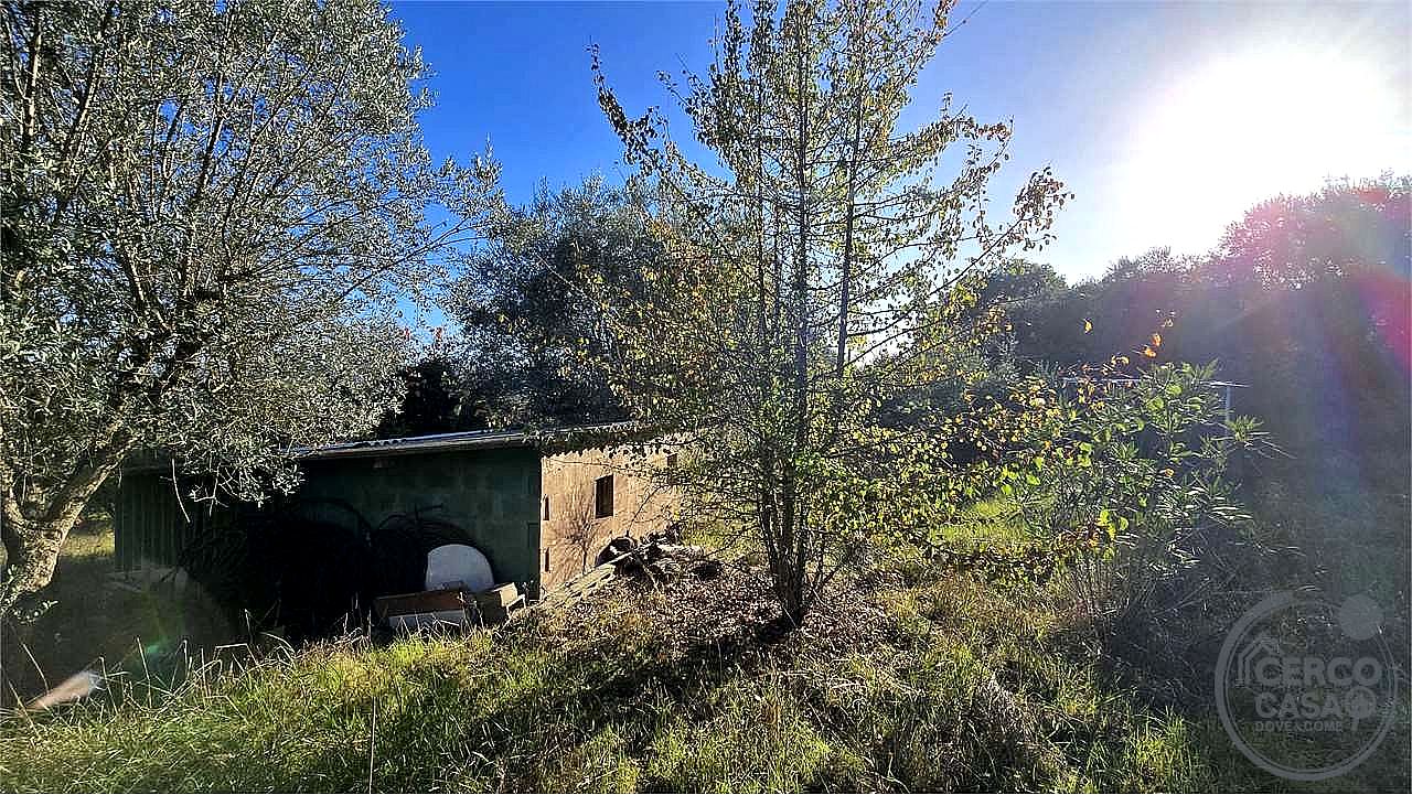 TERRENO AGRICOLO VENDITA PERUGIA · foto 37