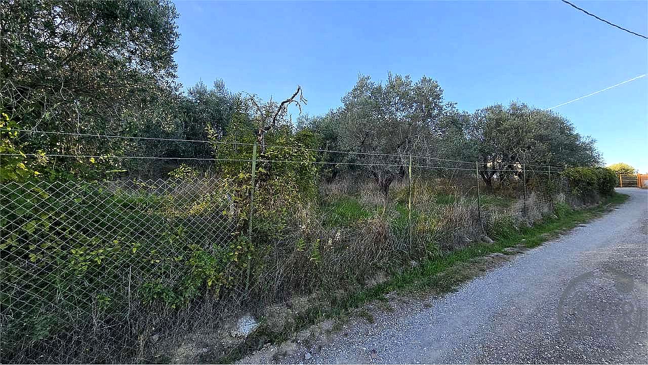 TERRENO AGRICOLO VENDITA PERUGIA · foto 7