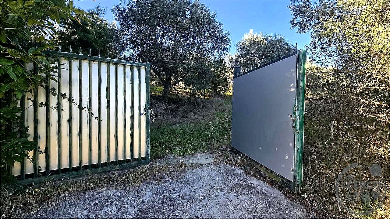 TERRENO AGRICOLO VENDITA PERUGIA · foto 9