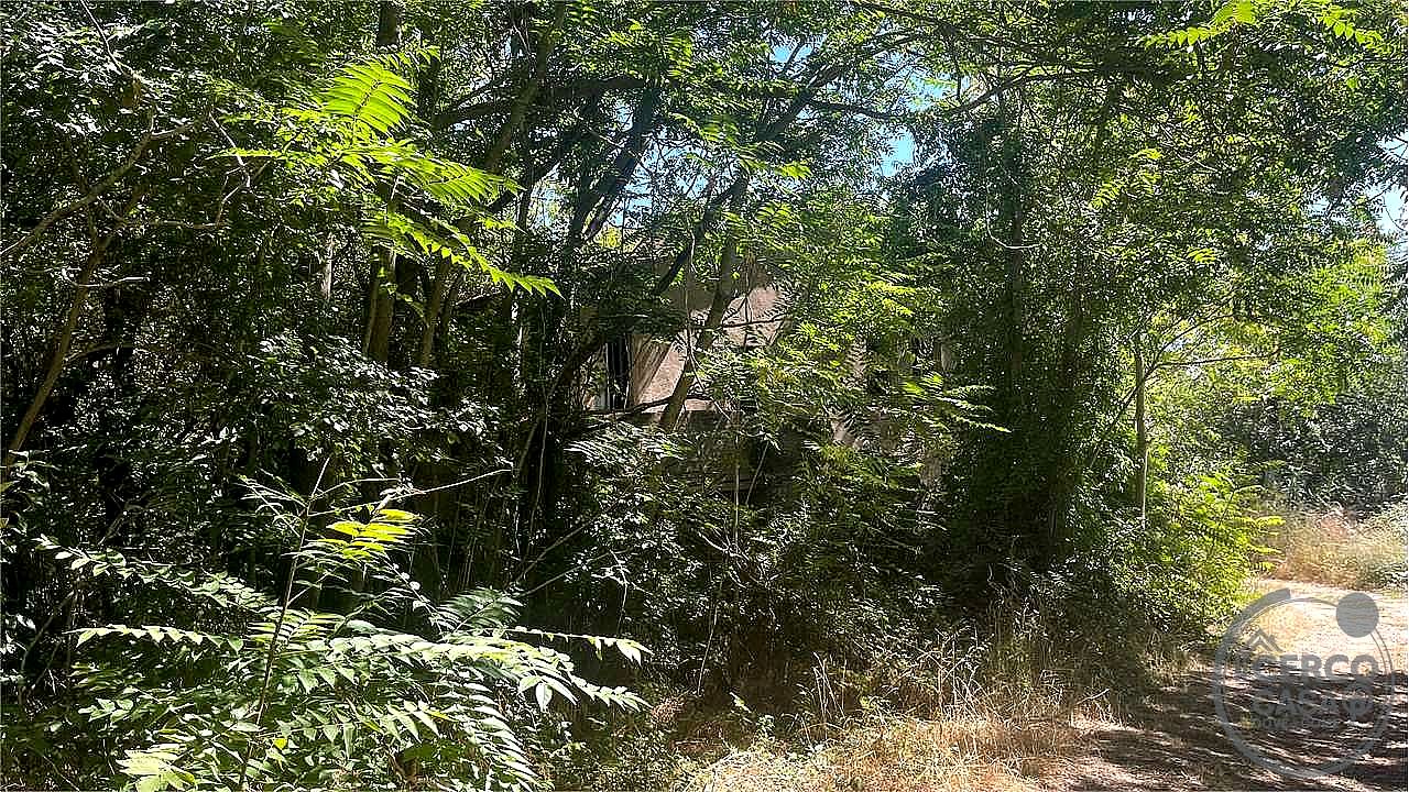 RUSTICO - CASALE VENDITA MARSCIANO SAN BIAGIO DELLA VALLE · foto 20