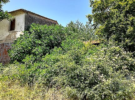 RUSTICO - CASALE VENDITA MARSCIANO SAN BIAGIO DELLA VALLE · foto 3