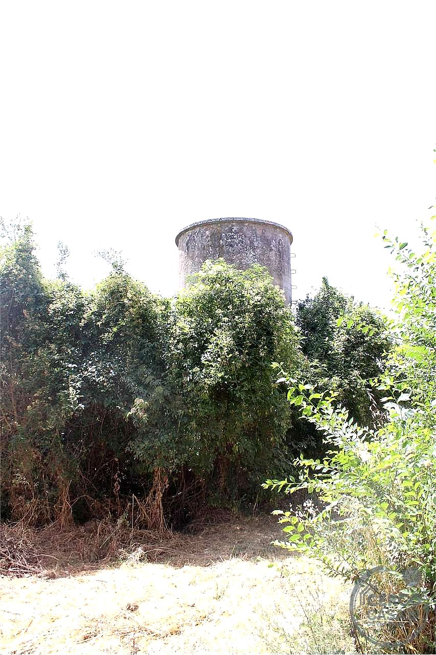 RUSTICO - CASALE VENDITA MARSCIANO SAN BIAGIO DELLA VALLE · foto 16