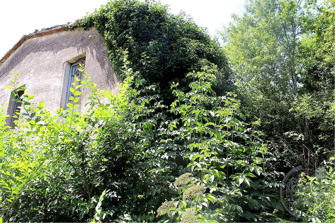 RUSTICO - CASALE VENDITA MARSCIANO SAN BIAGIO DELLA VALLE · foto 17