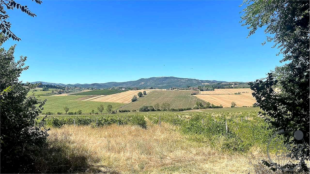 RUSTICO - CASALE VENDITA MARSCIANO SAN BIAGIO DELLA VALLE · foto 27