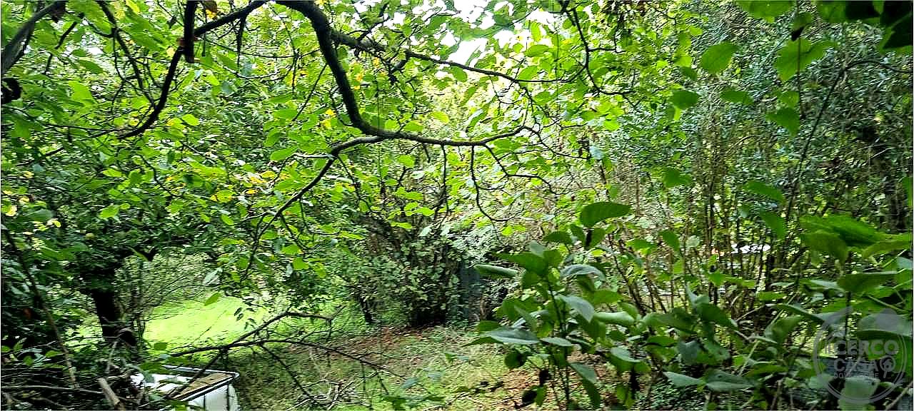 APPARTAMENTO VENDITA CASTEL VISCARDO · foto 3
