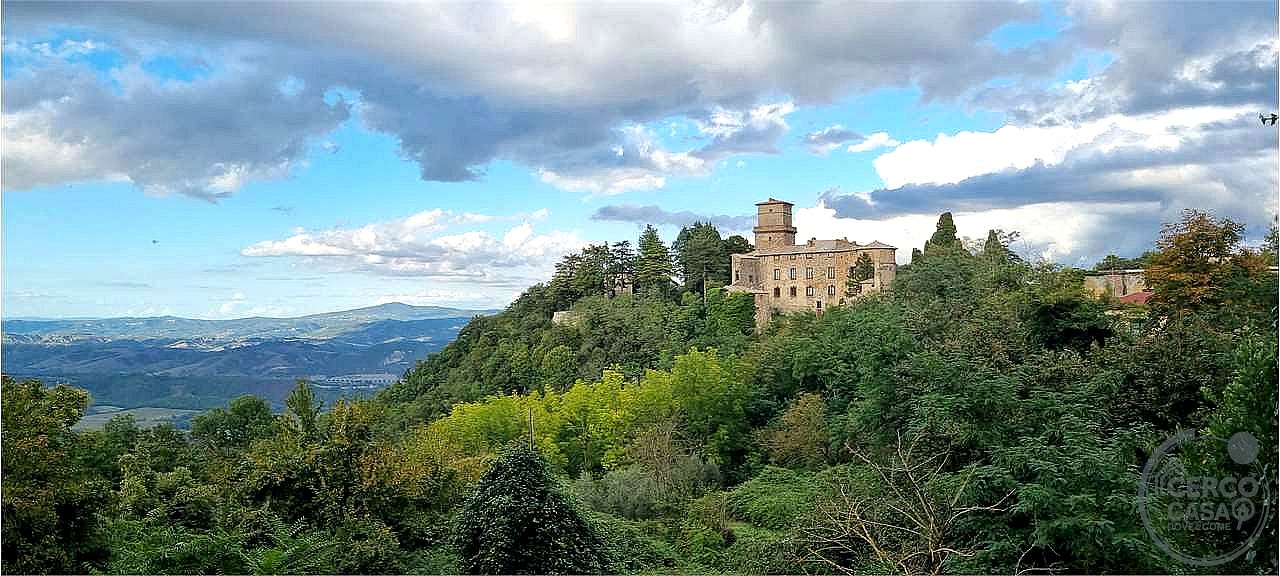 APPARTAMENTO VENDITA CASTEL VISCARDO · foto 38
