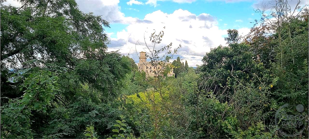 APPARTAMENTO VENDITA CASTEL VISCARDO · foto 4