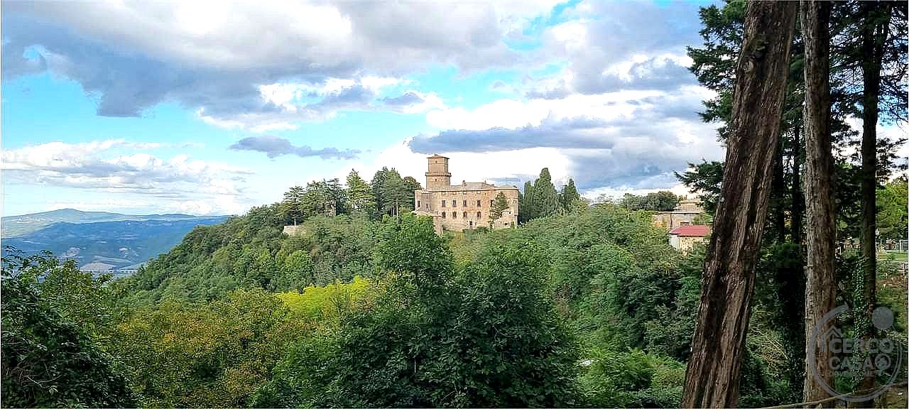 APPARTAMENTO VENDITA CASTEL VISCARDO · foto 7