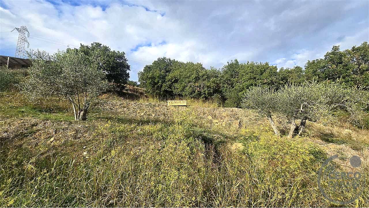 TERRENO EDIFICABILE VENDITA PANICALE TAVERNELLE · foto 11