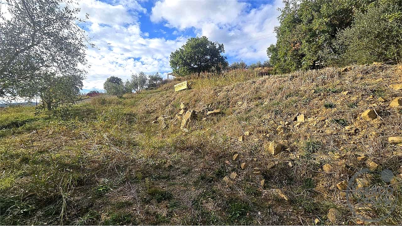 TERRENO EDIFICABILE VENDITA PANICALE TAVERNELLE · foto 12