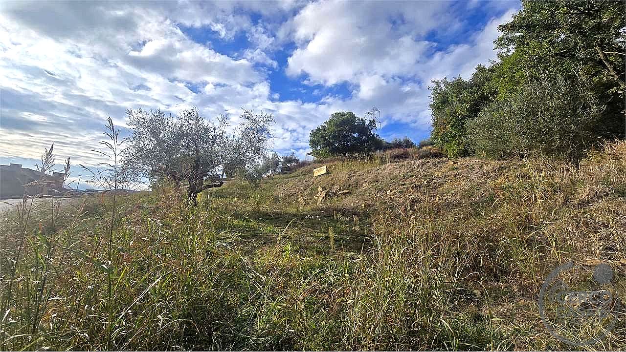 TERRENO EDIFICABILE VENDITA PANICALE TAVERNELLE · foto 14