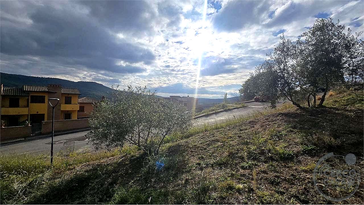 TERRENO EDIFICABILE VENDITA PANICALE TAVERNELLE · foto 22