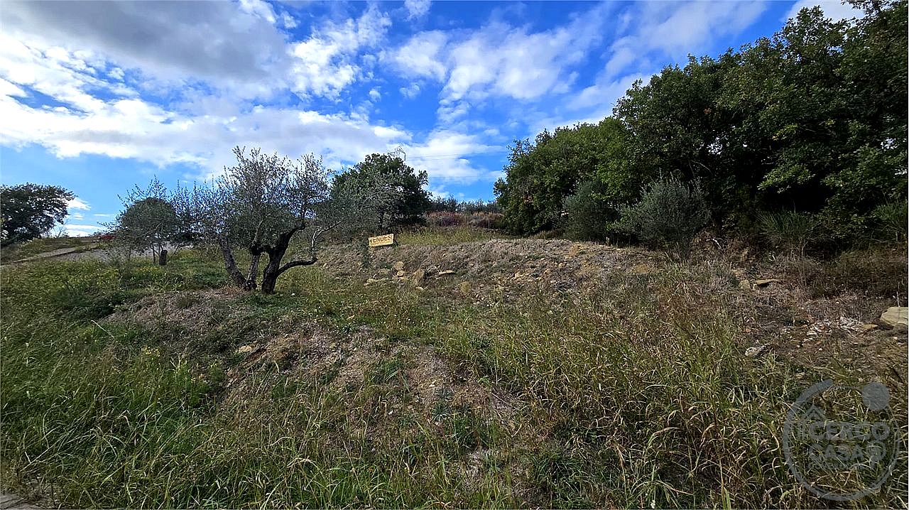 TERRENO EDIFICABILE VENDITA PANICALE TAVERNELLE · foto 23