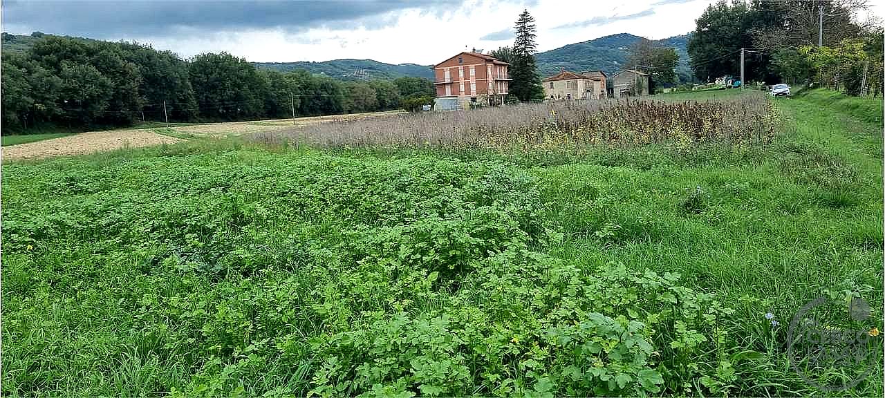 TERRENO AGRICOLO VENDITA CORCIANO MANTIGNANA