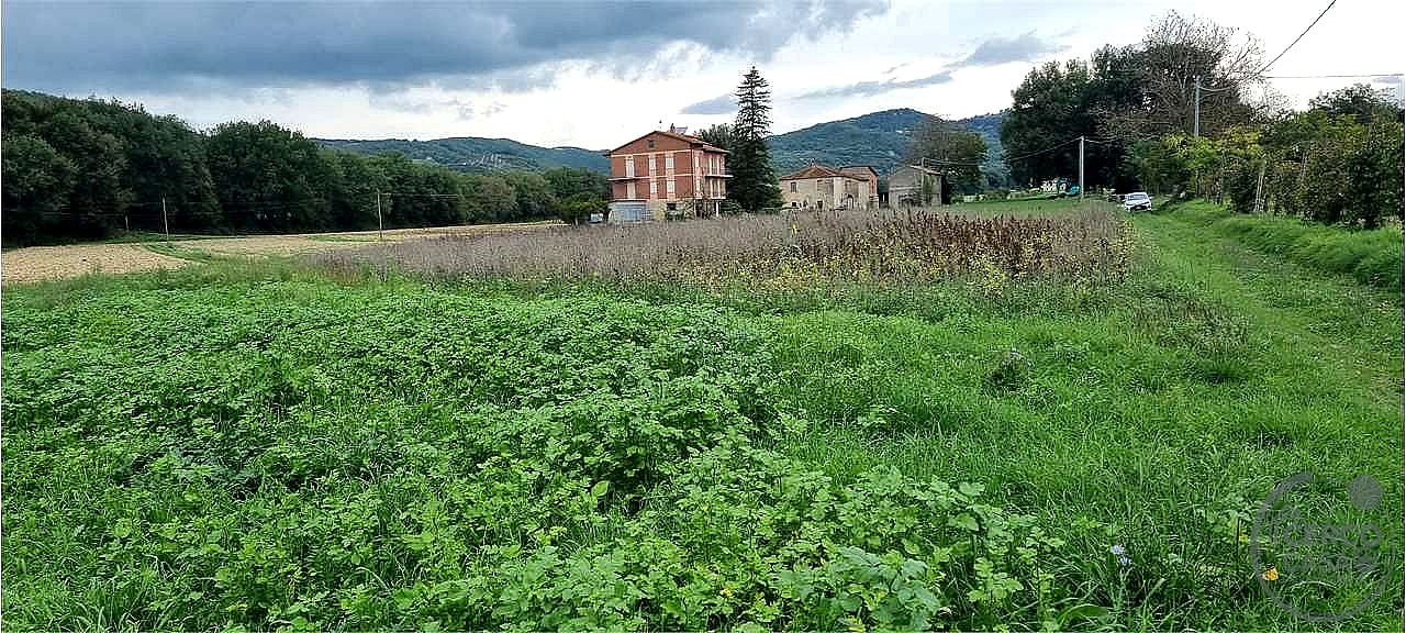 TERRENO AGRICOLO VENDITA CORCIANO MANTIGNANA · foto 2