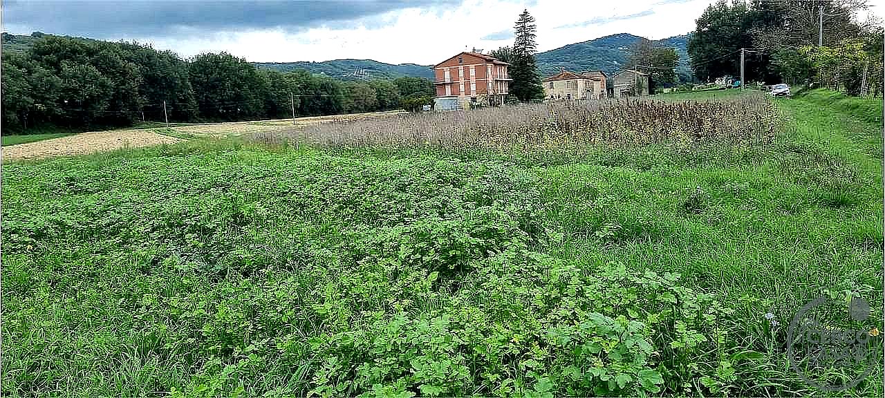 TERRENO AGRICOLO VENDITA CORCIANO MANTIGNANA - Via Lorenzo Il Magnifico, Corciano-mantignana