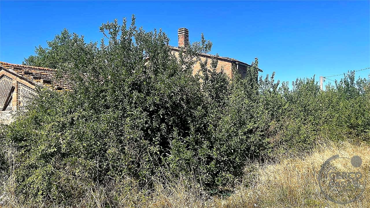 RUSTICO - CASALE VENDITA DERUTA CASALINA · foto 21