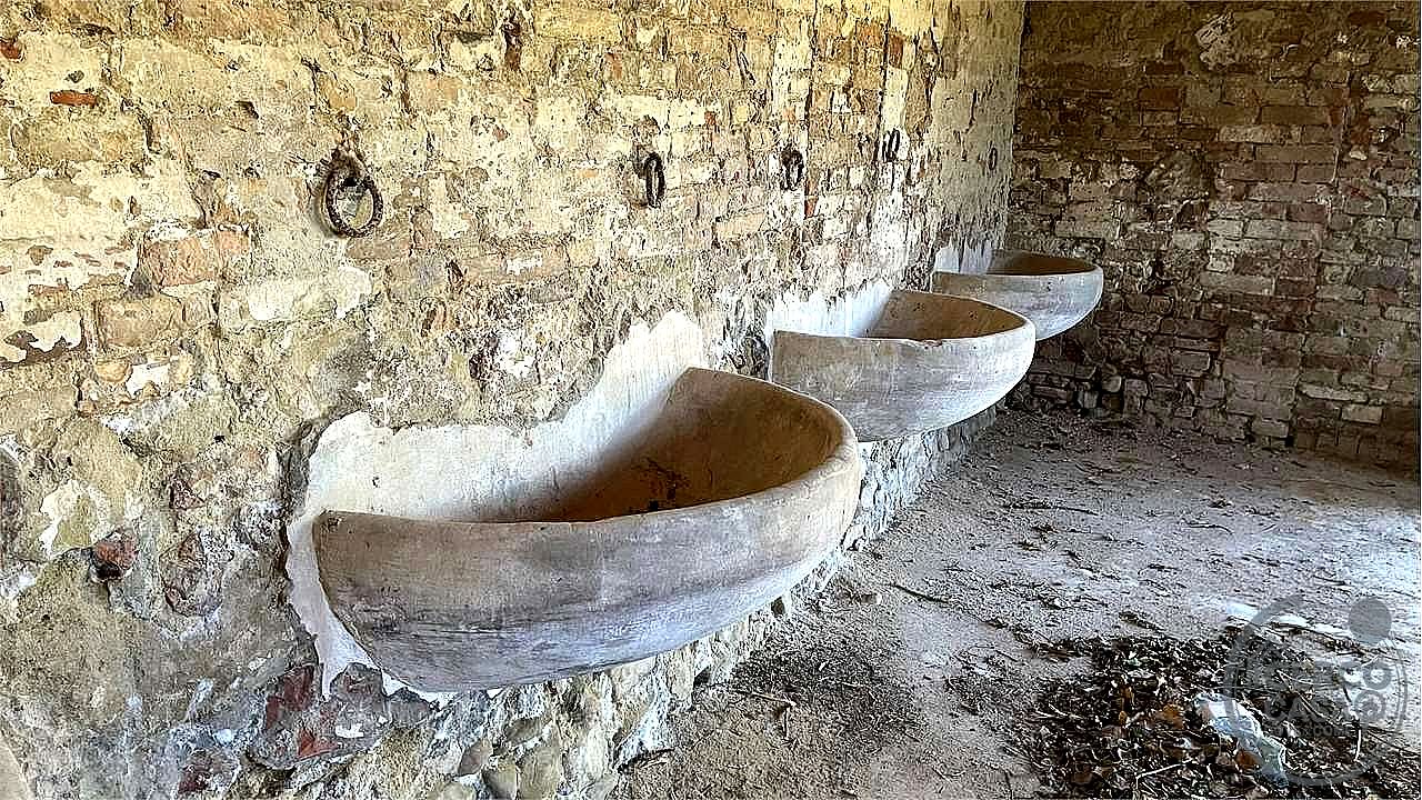 RUSTICO - CASALE VENDITA DERUTA CASALINA · foto 16