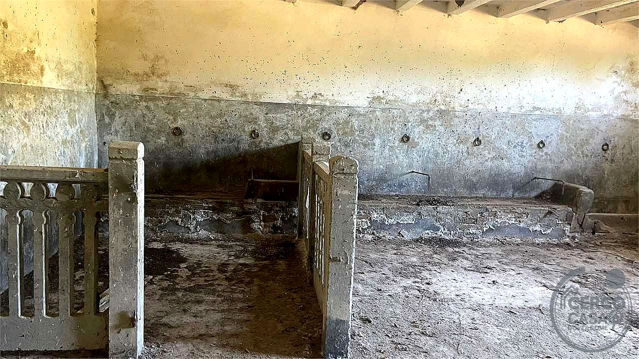 RUSTICO - CASALE VENDITA DERUTA CASALINA · foto 26