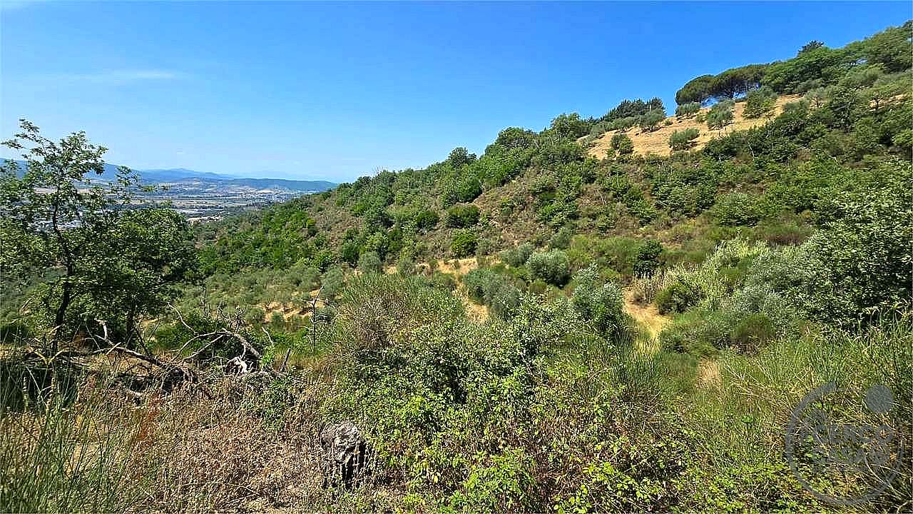 TERRENO AGRICOLO VENDITA MAGIONE · foto 16