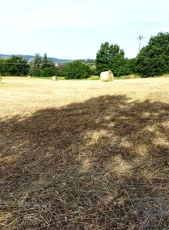 TERRENO AGRICOLO VENDITA MAGIONE · foto 24