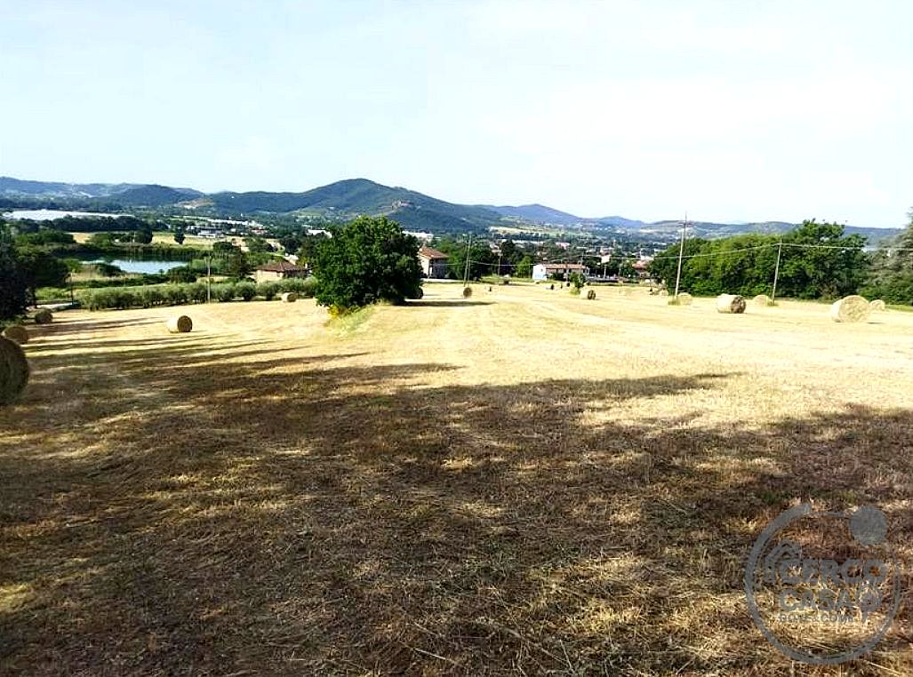 TERRENO AGRICOLO VENDITA MAGIONE · foto 26