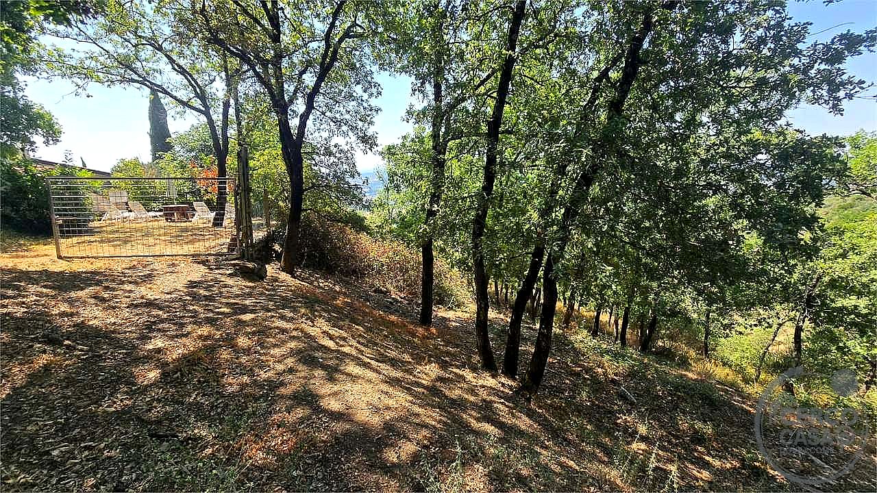 TERRENO AGRICOLO VENDITA MAGIONE · foto 29
