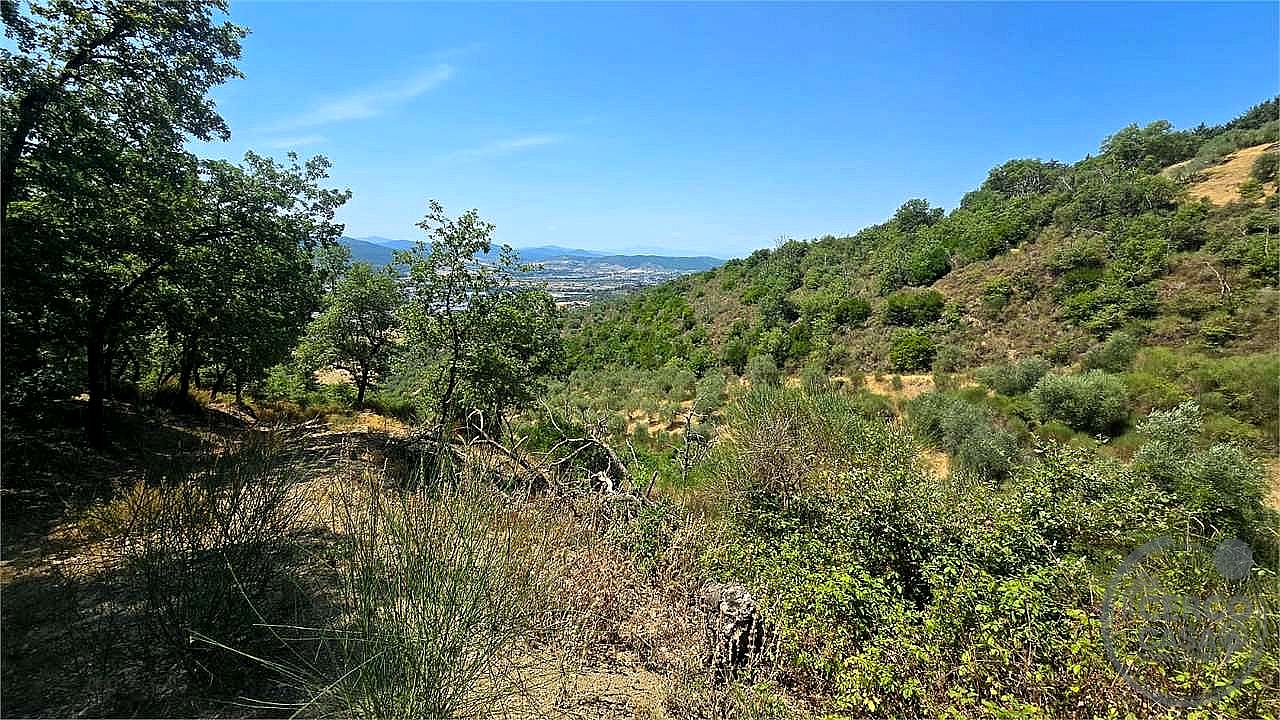 TERRENO AGRICOLO VENDITA MAGIONE · foto 30