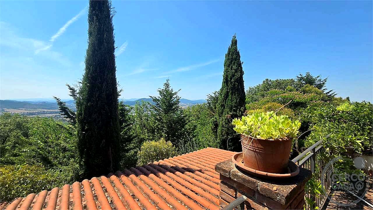 AZIENDA AGRICOLA VENDITA MAGIONE · foto 18