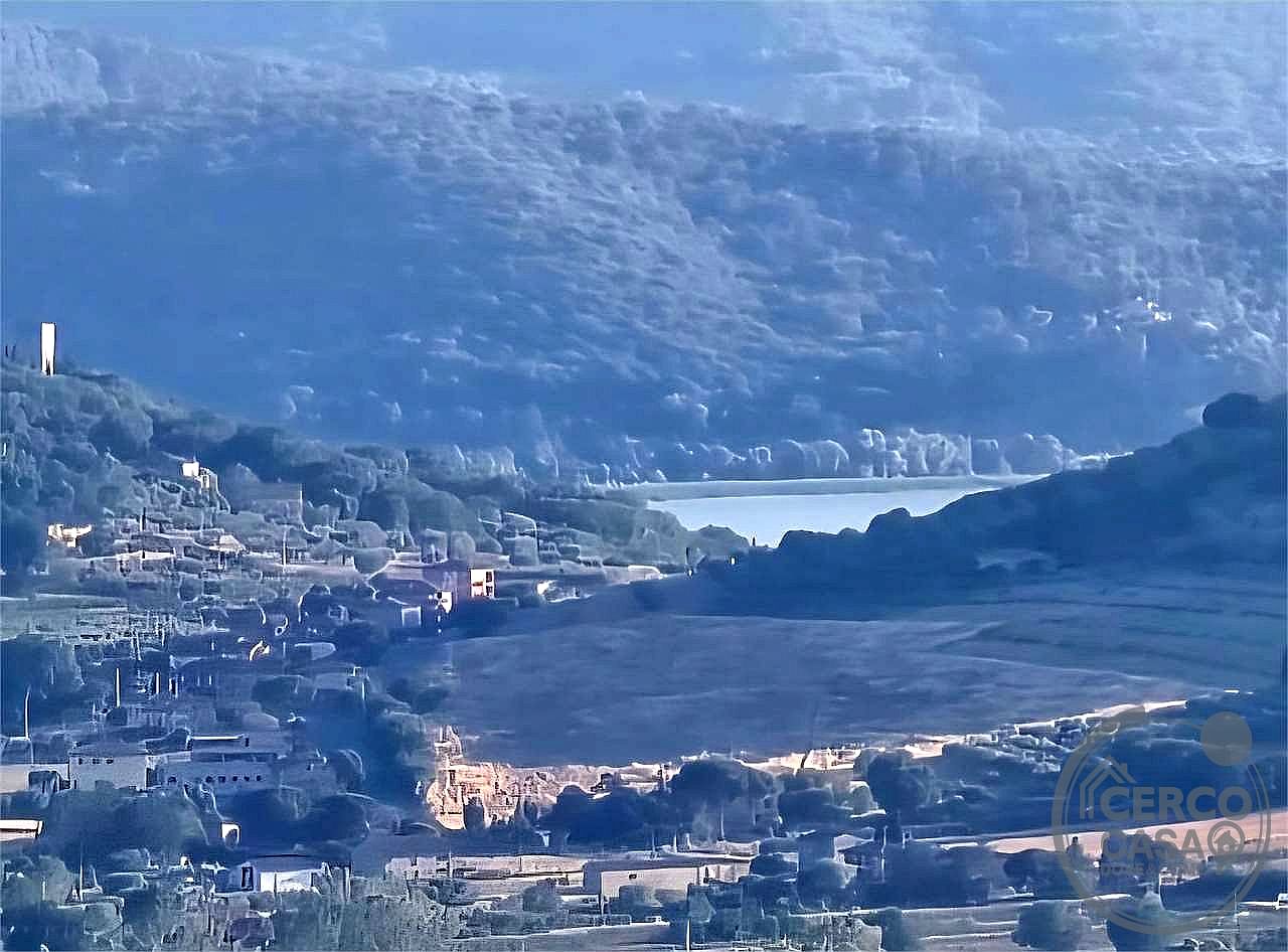AZIENDA AGRICOLA VENDITA MAGIONE · foto 32