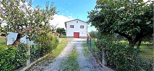 RUSTICO - CASALE VENDITA TORGIANO · foto 40