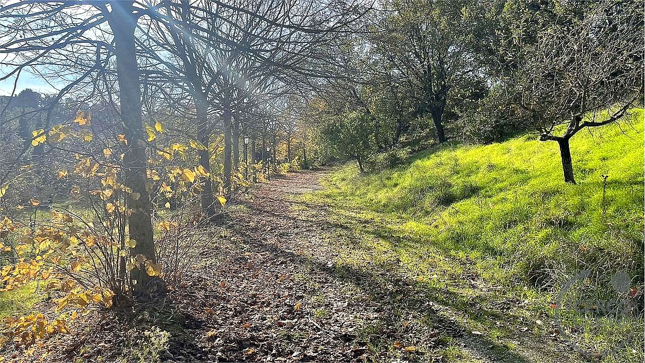 VILLA VENDITA CORCIANO · foto 4