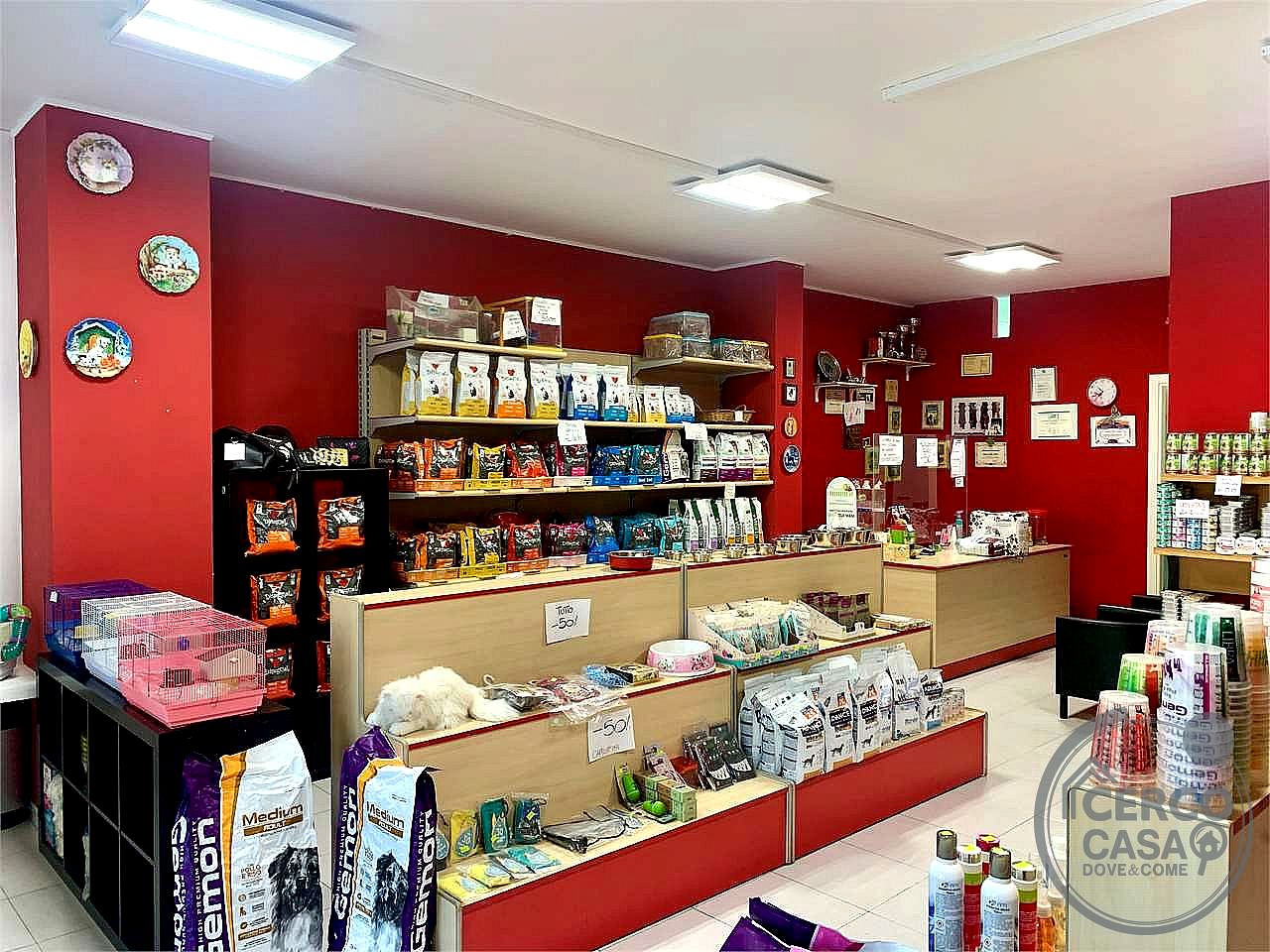 NEGOZIO VENDITA BASTIA UMBRA BASTIOLA · foto 13