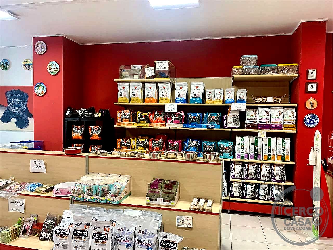 NEGOZIO VENDITA BASTIA UMBRA BASTIOLA · foto 6