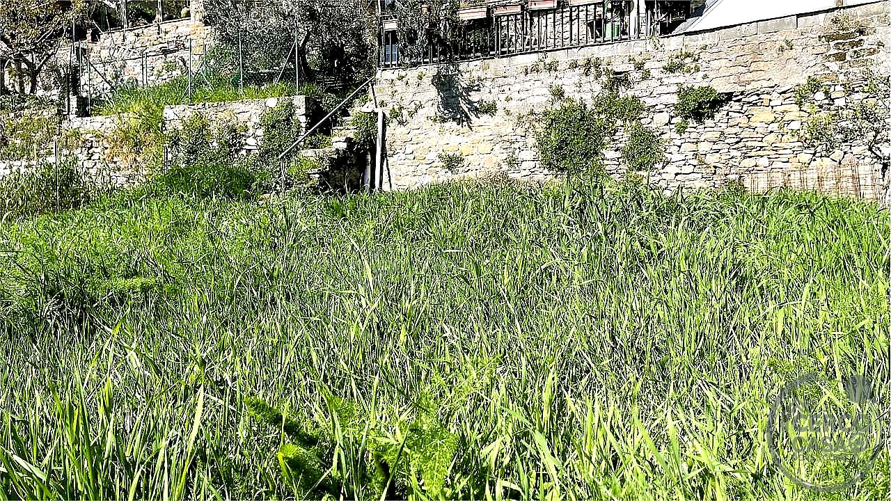 APPARTAMENTO VENDITA MAGIONE AGELLO · foto 7