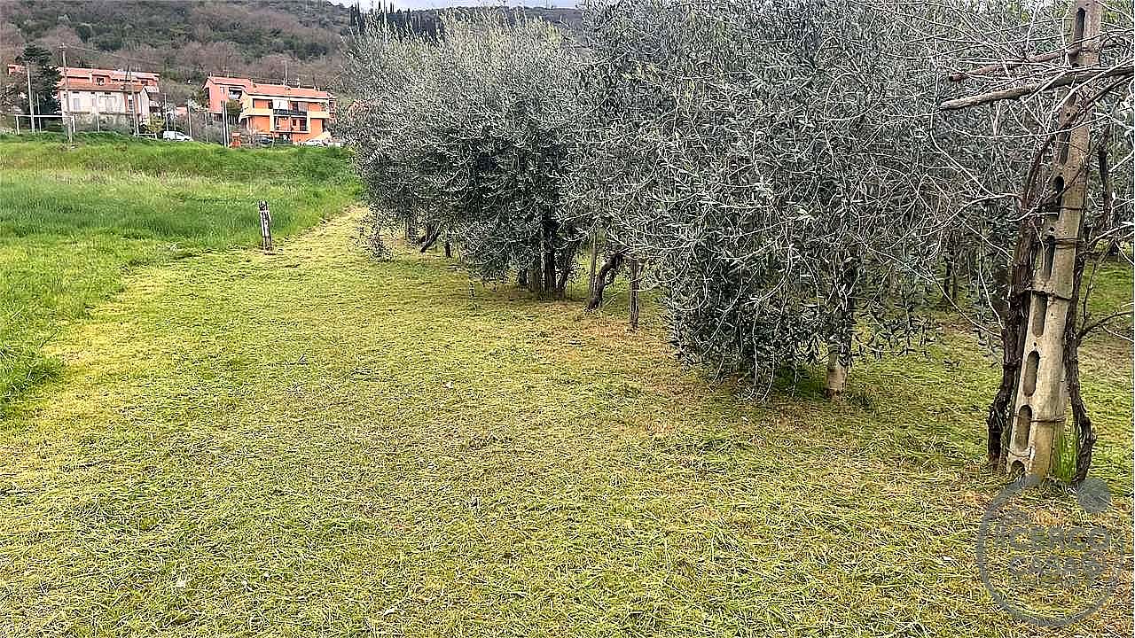 TERRENO EDIFICABILE VENDITA MAGIONE · foto 12