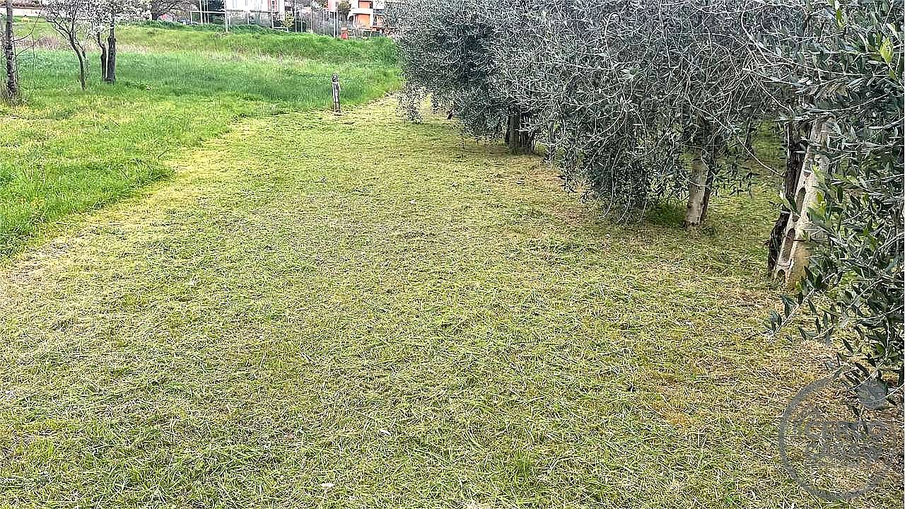 TERRENO EDIFICABILE VENDITA MAGIONE · foto 13