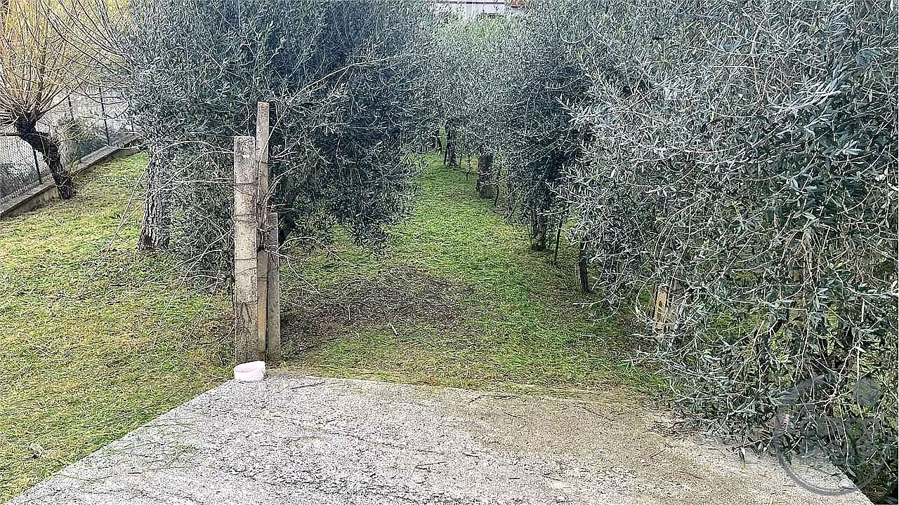 TERRENO EDIFICABILE VENDITA MAGIONE · foto 4