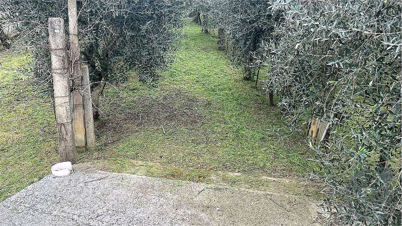 TERRENO EDIFICABILE VENDITA MAGIONE · foto 8