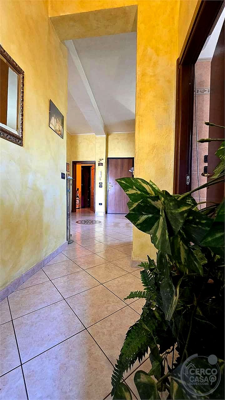 4 O PIÙ LOCALI VENDITA TORGIANO · foto 37