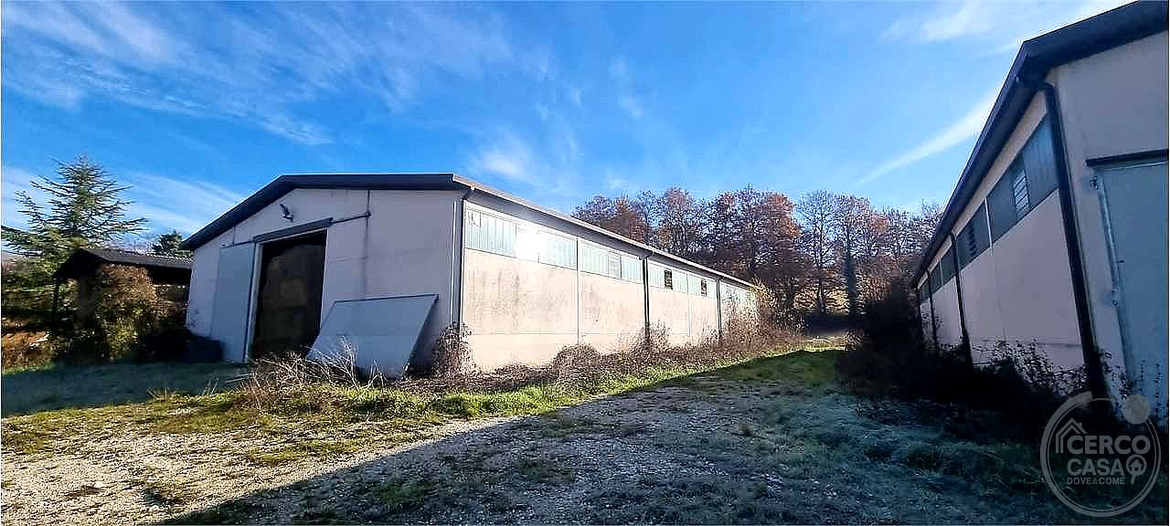AZIENDA AGRICOLA VENDITA SIGILLO · foto 12