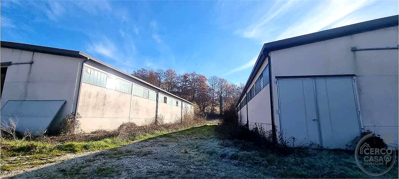 AZIENDA AGRICOLA VENDITA SIGILLO · foto 13