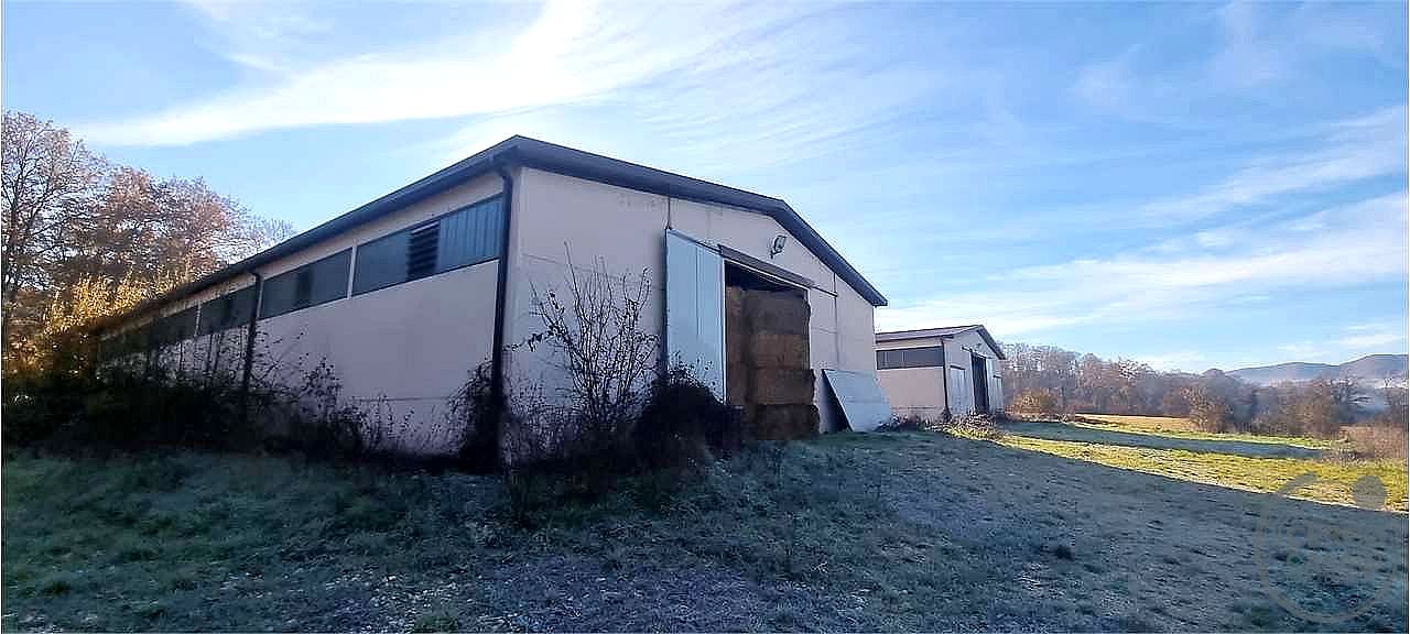 AZIENDA AGRICOLA VENDITA SIGILLO · foto 14