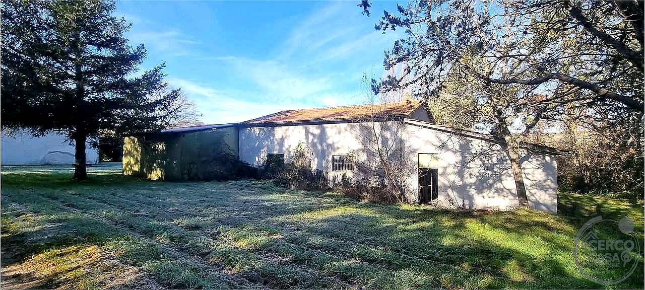 AZIENDA AGRICOLA VENDITA SIGILLO · foto 15