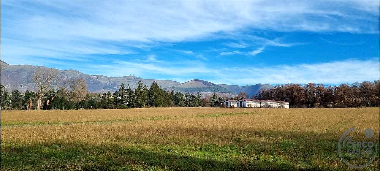 AZIENDA AGRICOLA VENDITA SIGILLO · foto 18